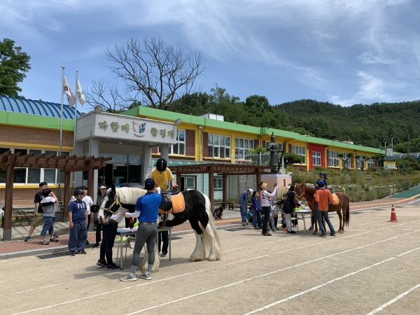 창녕 성산초등학교 학생들이 승마를 체험하고 있다.