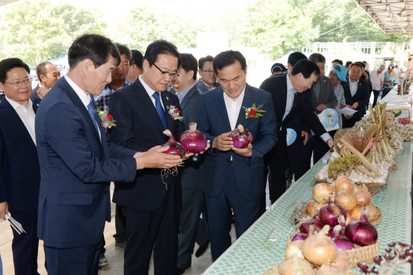 지난 25일 열린 우포농협 마늘축제 및 조합원 한마음대회에서 한정우 군수가 창녕양파를 살펴보고 있다.