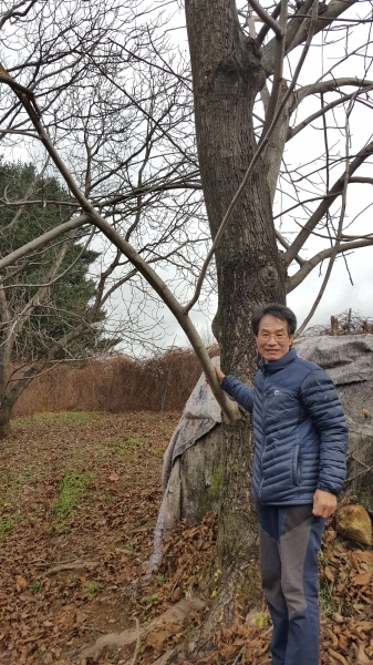 해인특산물의 효자상품이 된 귀족호두 나무 앞에서 포즈를 취한 김복이 대표. 사진=김성대 기자.