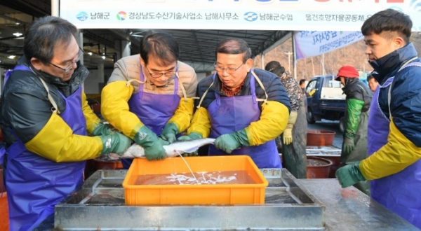 남해군이 겨울철 대표 어종인 대구의 자원 조성을 위하여 3억개 이상의 수정란을 방류할 예정이다.