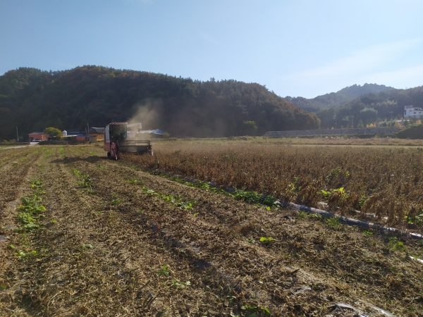 사천시는 논 타작물 재배 확대와 밭 식량작물 기반조성을 통한 식량산업 경쟁력 제고, 전략육성 작목의 단지화로 규모화 된 식량작물 공동경영체 육성을 위하여 ‘논 타작물 단지화 사업’을 추진한다고 밝혔다.