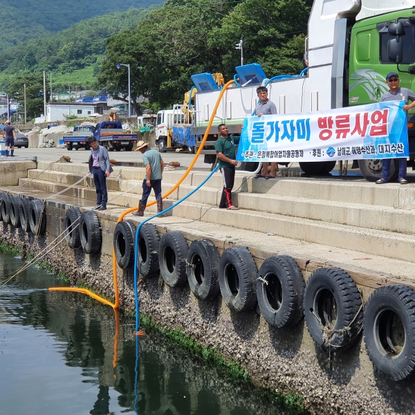 남해군은 31일 수산자원 조성 및 어업인 소득증대를 위해 삼동면 은점 및 대지포해역에 감성돔 4만 마리, 돌가자미 6만 마리 등 총 10만 마리의 어린고기를 방류했다.