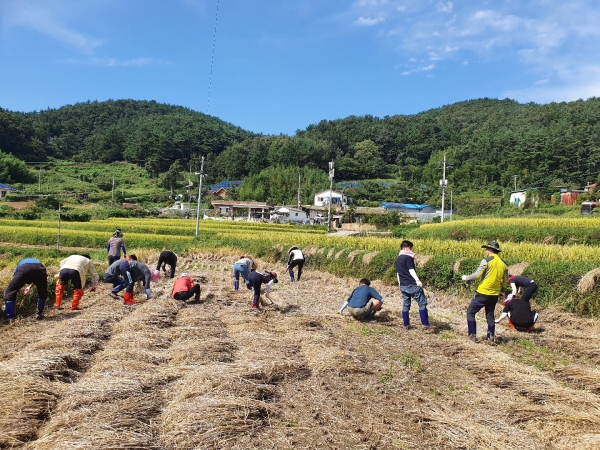 남해군농업기술센터(소장 정종길) 전 직원 50여명은 지난 21일 남해군 삼동면과 고현면에서 농촌일손돕기를 했다.