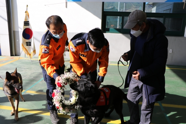 인명구조견 ‘그링고’가 11월 30일 산청소방서에서의 명예로운 은퇴식을 끝으로 8여 년간의 현장 활동을 마무리한다.