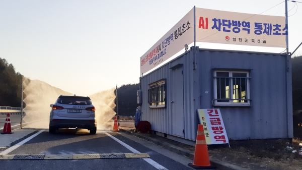 합천군(군수 문준희)은 고병원성 조류인플루엔자(H5N8)의 군내 유입 방지를 위해 긴급방역에 총력을 기울이고 있다.