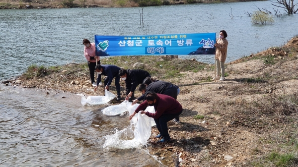 산청군은 빙어 치어 200만미를 차황면 철수저수지 등 3곳에 방류했다고 6일 밝혔다.