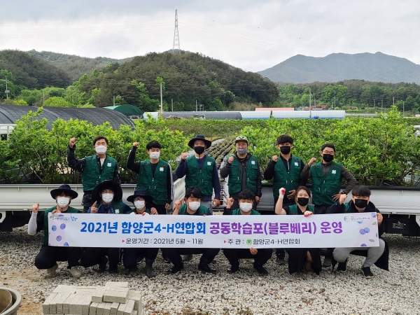 함양군4-H연합회(회장 김유준)은 지난 7일 수동면에 소재한 공동학습포장에서 블루베리 학습포 운영을 회원 10여명이 참여한 가운데 진행하며 구슬땀을 흘렸다.