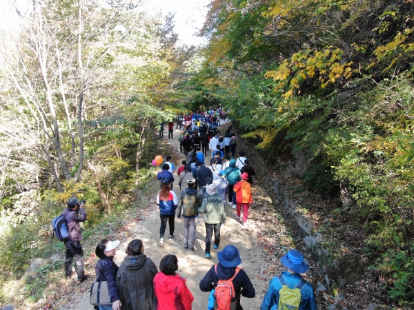 하동군은 10월 23일∼11월 7일 15일동안 지리산 청학동과 악양면을 잇는 해발 740m의 회남재 일원에서 ‘2021 지리산 회남재 숲길 걷기’ 행사를 갖는다고 20일 밝혔다.