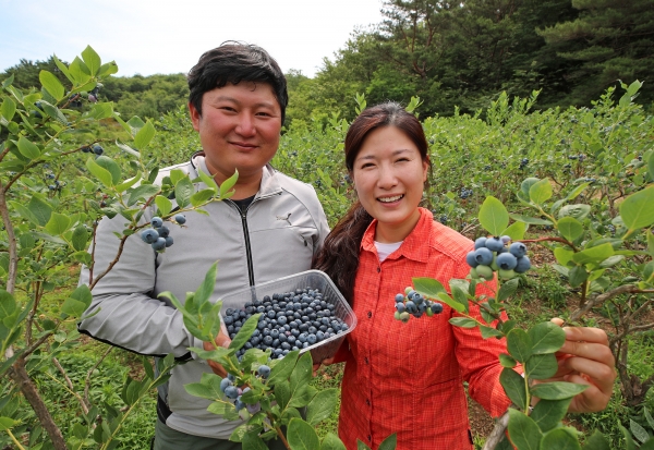 산청군 농업발전기금으로 1% 저금리 대출을 받은 단성면 유병부, 정진주 부부