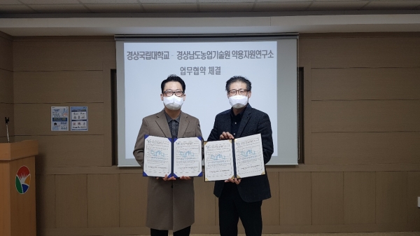 경상남도농업기술원(원장 정재민) 약용자원연구소는 17일 경상국립대학교 산학협력단(단장 정재우)과 상호협력을 위한 양해각서(MOU)를 체결했다.