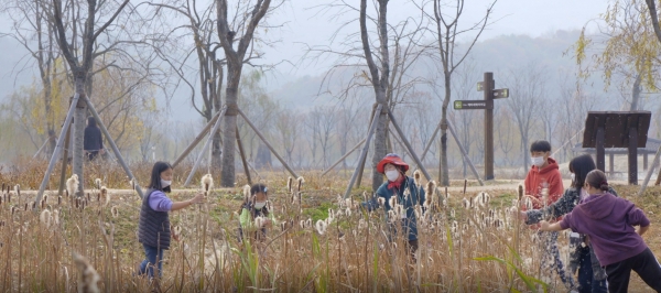 거창창포원은 5월부터 거창군 관내 학교․기관 및 단체를 대상으로 경상남도 대표 생태관광지에 지정된 거창창포원 생태 체험 프로그램을 운영한다.