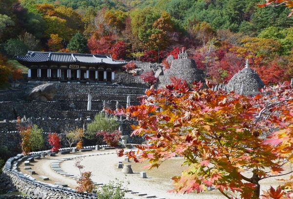 하동군 ‘청학동 삼성궁’이 한국관광공사가 주관한 ‘2022년 대한민국 안심여행 캠페인’ 안심 관광지로 선정됐다.
