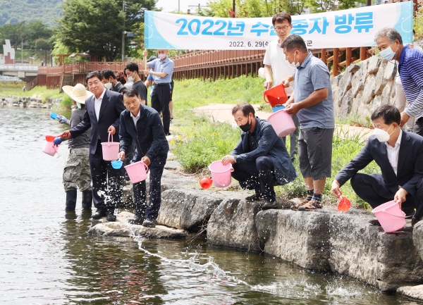 함양군은 29일 내수면 어족자원 보호와 주민 소득증대 도모를 위해 함양읍 위천천을 비롯한 하천 등에 다슬기 125만마리, 쏘가리 2만마리를 방류했다.