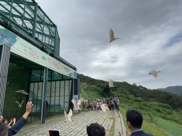 경상남도는 15일 오후 창녕군 우포따오기복원센터에서 환경부, 문화재청, 창녕군과 함께 따오기 야생복원을 목표로 제6회 우포따오기 야생방사 행사를 개최했다고 밝혔다.