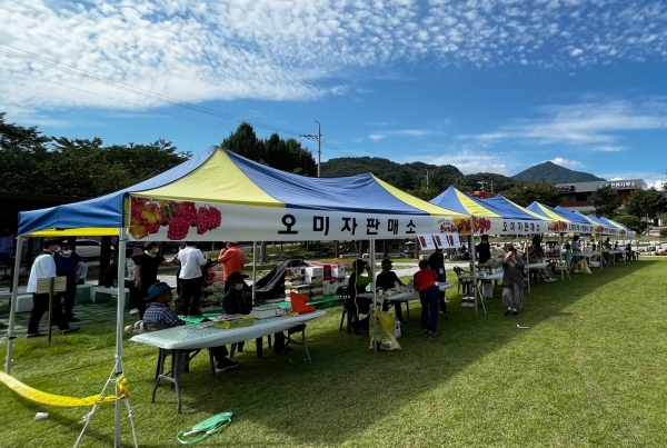 함양군은 지난 17~ 18일 백전면에서 열린 ‘함양백전오미자축제’가 아름다운 가을오색 산책을 주제로 군민과 방문객들이 함께하며 지난 18일을 성황리에 막을 내렸다고 전했다.