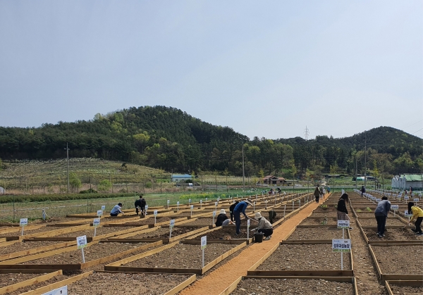 진주시는 시민들과 혁신도시 공공기관 임직원 가족들의 농업체험과 생산적 여가활동을 통한 힐링과 즐거움 제공을 위해 시민텃밭을 분양한다고 13일 밝혔다.