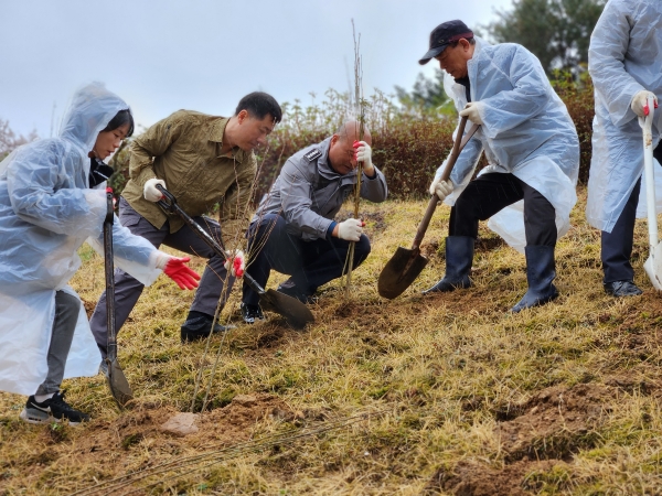 거창군은 거창사건 제72주년을 맞아 거창사건을 알리기 위해 ‘내 무궁화나무 갖기’ 캠페인을 전개한다.