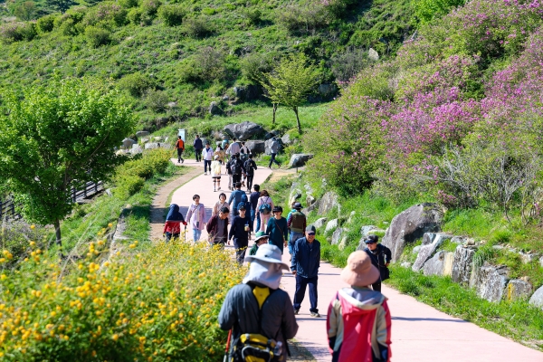 ‘다시, 철쭉에 반하고 산청에 반하다’라는 주제로 개최된 제39회 산청황매산철쭉제가 성공리에 폐막했다.