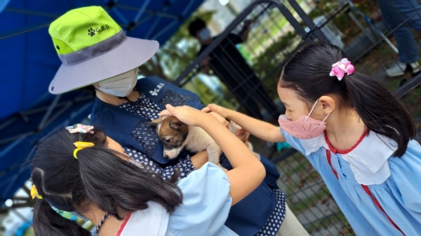 고성군(군수 이상근)과 고성군반려동물동호회(회장 천진성)이 20일 고성읍 수남리 백세공원 일원에서 동물보호센터 내에 보호 중인 유기동물의 입양 촉진과 홍보를 위해 유기동물 공개입양행사 ‘지금 만나러 갈개!’를 개최한다.