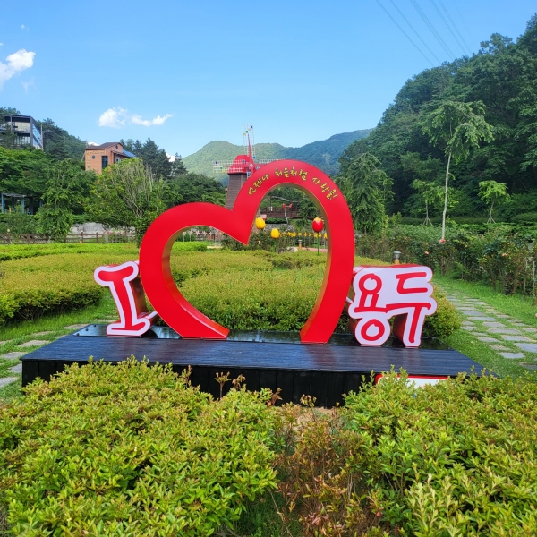 사천시는 사천 9경 용두공원에 무궁화를 쉽게 접할 수 있는 무궁화동산을 조성한다고 밝혔다.