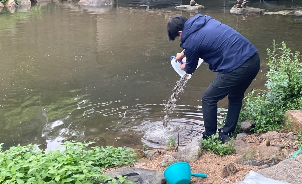 거창군은 지난 29일 북상면 중산리 중산하천 등에 하천 생태계 및 어족자원 회복을 위해 잉어, 붕어, 미꾸리 치어 4만 5,000 마리를 방류했다.