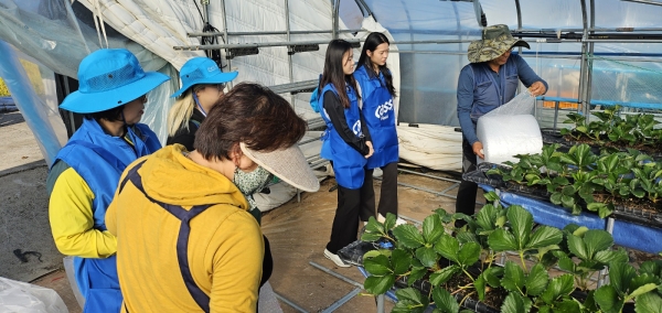 경상국립대학교(GNU·총장 권순기)는 14일 산청군 신안면 소재 딸기 농가에서 일손 부족으로 어려움을 겪는 농촌을 도움으로써 국가거점 국립대학으로서 지역사회 안정과 발전에 공헌하기 위해 ‘2023학년도 2학기 GNU봉사단 농촌봉사활동’을 시작했다.