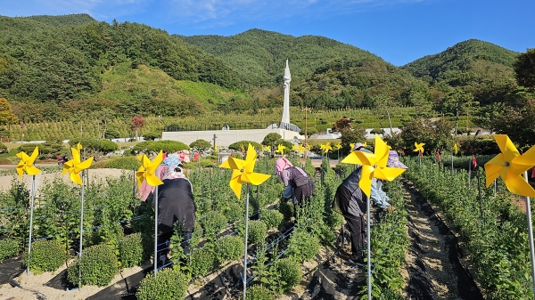 거창군은 오는 28일부터 11월 12일까지 16일간 거창사건추모공원 일원에서 제16회 국화관람회를 개최한다.