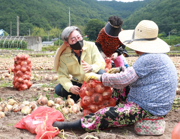 의령군(군수 오태완)이 농산물 시장가격 하락으로 어려움을 겪는 농가에 ‘농산물 기준가격 보장제’를 적용해 현금 지원을 했다고 18일 밝혔다.