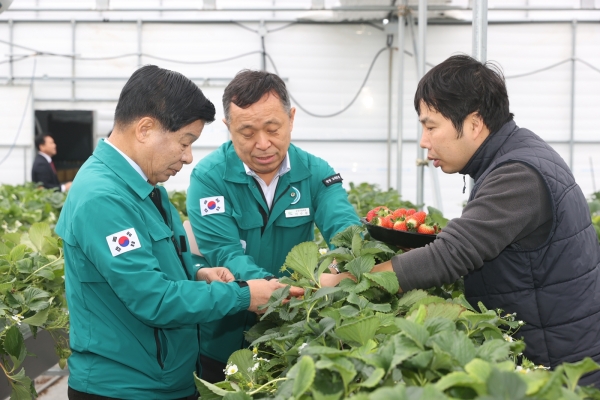 이상근 고성군수는 2월 5일 대가면 연지리에 소재하는 귀농 청년 농업인 김안홍(소가야작목반회장) 씨의 고설재배 시설하우스 딸기농장을 방문했다.