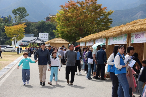 산청군은 국내 최대 규모의 한방항노화축제 ‘산청한방약초축제’가 2년 연속 명예 문화관광축제에 선정됐다고 21일 밝혔다.