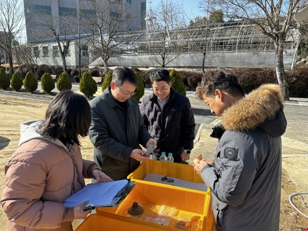 함안고등학교 개축공사 예정부지에서 가야문화권 최초로 소 모양 상형토기가 발견됐다.