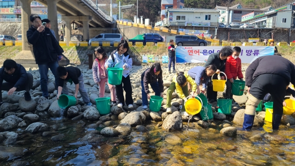 하동군은 지난 13일 화개장터 인근 화개천에 회귀성 어종인 어린 은어와 연어를 방류했다고 14일 밝혔다.