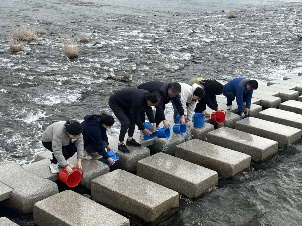 합천군(군수 김윤철)은 지난 19일 내수면 수산자원 회복과 생태계 복원을 위해 황강 일대에 회귀성 어종인 어린 은어 15,000여 마리를 방류했다.