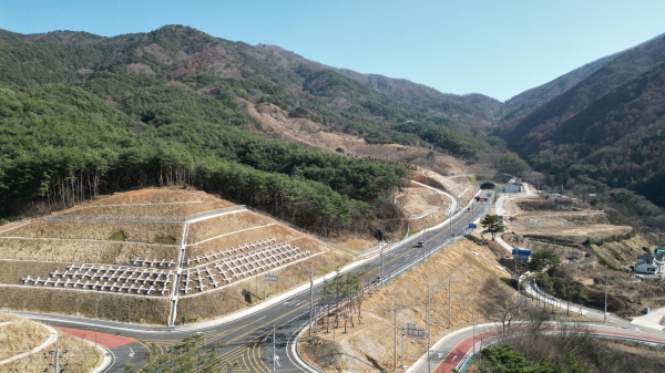 산청군은 국도59호선 지리산터널 진출입로 일원을 홍단풍 가로수길로 조성한다고 28일 밝혔다.