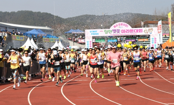 제23회 합천벚꽃마라톤대회가 역대 최다 인원 13,102명이 참가한 가운데 31일 합천공설운동장 및 합천 100리 벚꽃길 마라톤코스 일원에서 성황리에 개최됐다.