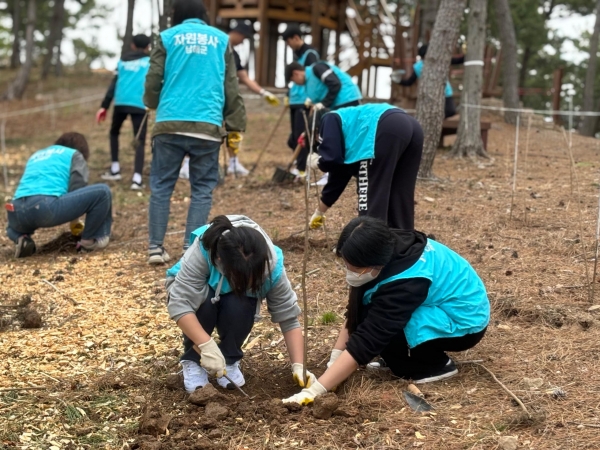 남해군은 2일 제79회 식목일을 앞두고 창선면 가인리에 위치한 ‘별해로’에서 나무심기 행사를 진행했다.