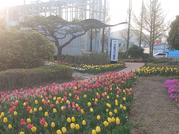 남해군 ‘보물섬 식물원’에 고즈넉한 분위기 속에서 여유로움을 만끽하려는 방문객들의 발길이 이어지고 있다.