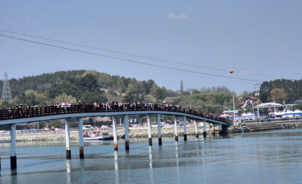 사천시는 ‘제9회 사천비토섬 별주부전축제’가 별주부전의 본고장이라는 위상에 걸맞게 성황리에 마무리됐다.