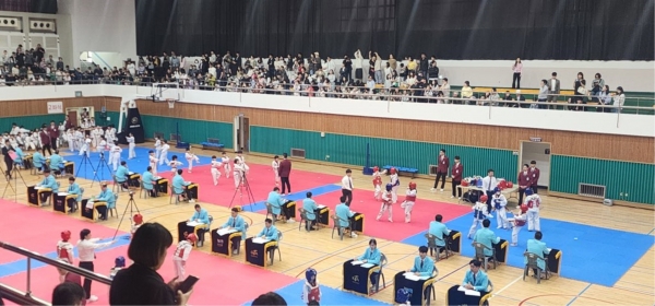 진주시는 지난 27일 문산 실내체육관에서‘제274회 2024 경남 승품·단 심사대회’를 개최됐다.