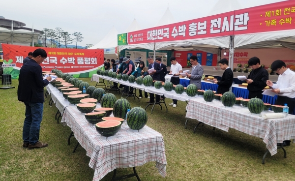 함안군은 '제1회 전국 수박품평회'에서 함안군 대산면 양영필씨의 당도 13.5 브릭스, 과중 9.5kg의 수박이 대상을 차지했다고 2일 밝혔다.