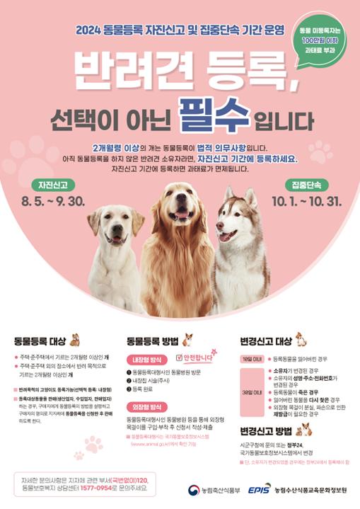 사천시는 오는 9월 30일까지 ‘2024 동물등록 자진신고 기간’을 운영한다고 12일 밝혔다.