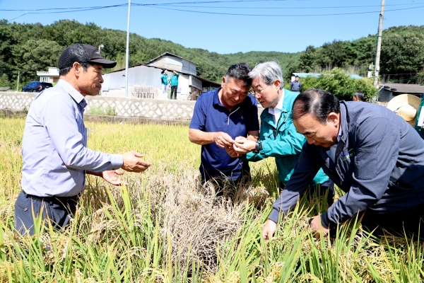 의령군(군수 오태완)은 관내 벼 병충해인 벼멸구가 확산하자 긴급 방제 약제비 지원 예산 2억3천여만원을 긴급 편성했다고 25일 밝혔다.