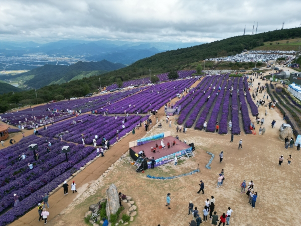 거창군의 ‘제4회 감악산 꽃&별 여행’ 행사가 연일 흥행을 이어가며 성황리에 마무리됐다.