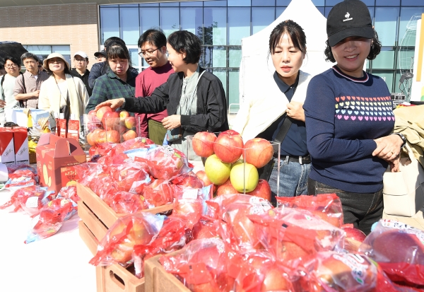 거창군은 26일 수원시 국립농업박물관에서 구인모 거창군수, 황수철 국립농업박물관장, 이재운 거창군의회 의장과 군의원, 이태용 농협중앙회 거창군지부장을 비롯한 조합장, 이병오 재경거창군향우회장, 정창현 사과발전협의회장 등이 참석한 가운데 2024년 제2회 거창데이 행사를 개최했다.
