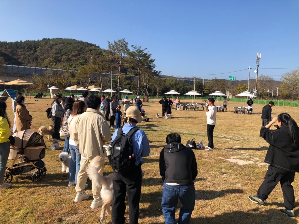 합천군은 반려동물 인구 1,300만 시대에 발맞춰 ‘멍스테이’를 선제적으로 개장했으며, 향후 주요 관광지와의 연계를 통해 이색 테마 관광지원으로 육성할 계획이다.
