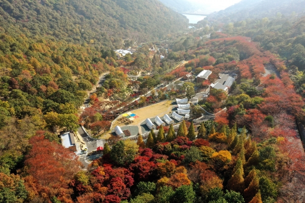진주시는 ‘월아산 숲속의 진주’가 경상남도 18개 시군을 대상으로 실시한 2024년 산림휴양시설 조성·운영분야 평가에서 최우수상을 수상해 작년에 이어 2년 연속 1위를 차지하는 영예를 안았다