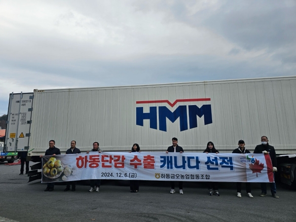 하동군 단감이 캐나다로 올해 첫 수출을 시작하며 해외 소비자들의 입맛을 사로잡을 준비를 마쳤다.