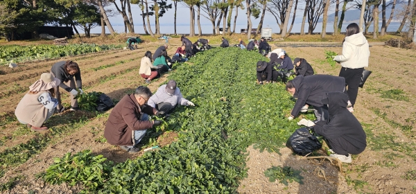 남해군은 지난 12일 귀농·귀촌 희망자들을 대상으로 ‘농촌 팸투어’를 개최했다고 16일 밝혔다.