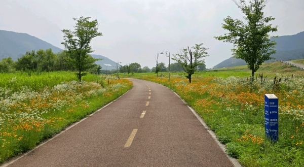 창녕군(군수 성낙인) 부곡온천 자전거길이 문화체육관광부와 한국관광공사가 선정한 ‘자전거 자유여행 대표코스 60선’에 선정됐다.