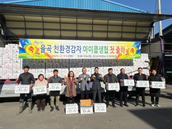 합천군의 친환경 감자가 아이쿱생협을 통해 올해도 도시 소비자를 만난다.
